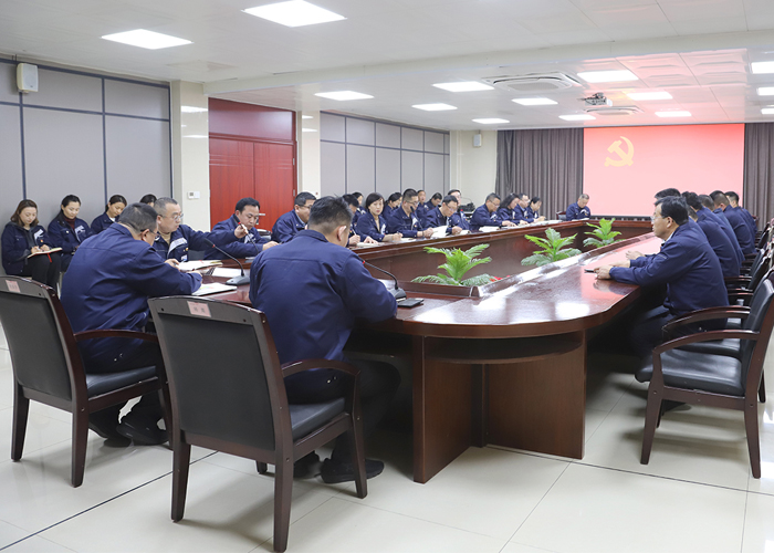 亚洲熟女乱色综合亚洲图片党委组织召开3月份主题党日会议