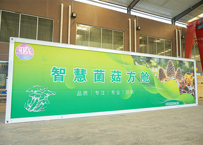 德州市农业科学研究院与亚洲熟女乱色综合亚洲图片合作培育的菌菇首产成功